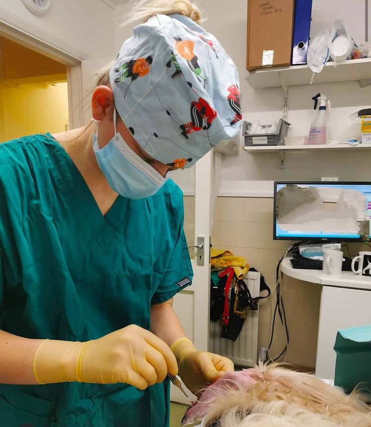 Bespoke Fabric Scrub Hat - Image 3