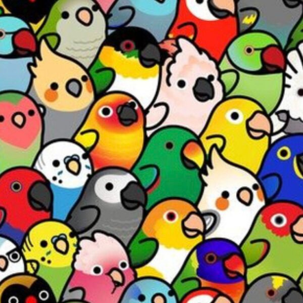 Surgical theatre scrub hat