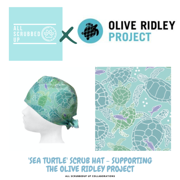 turtle scrub hat