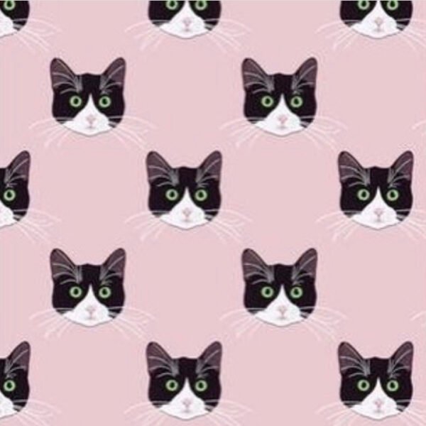 Tuxedo Cats Scrub Hat