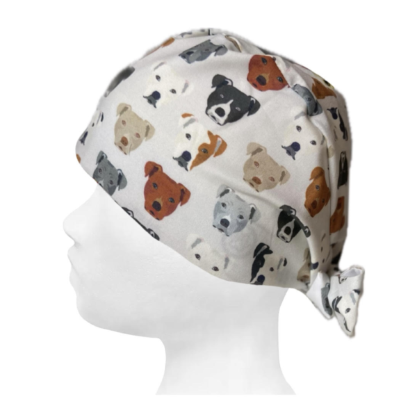Pawfessor Staffie scrub hat